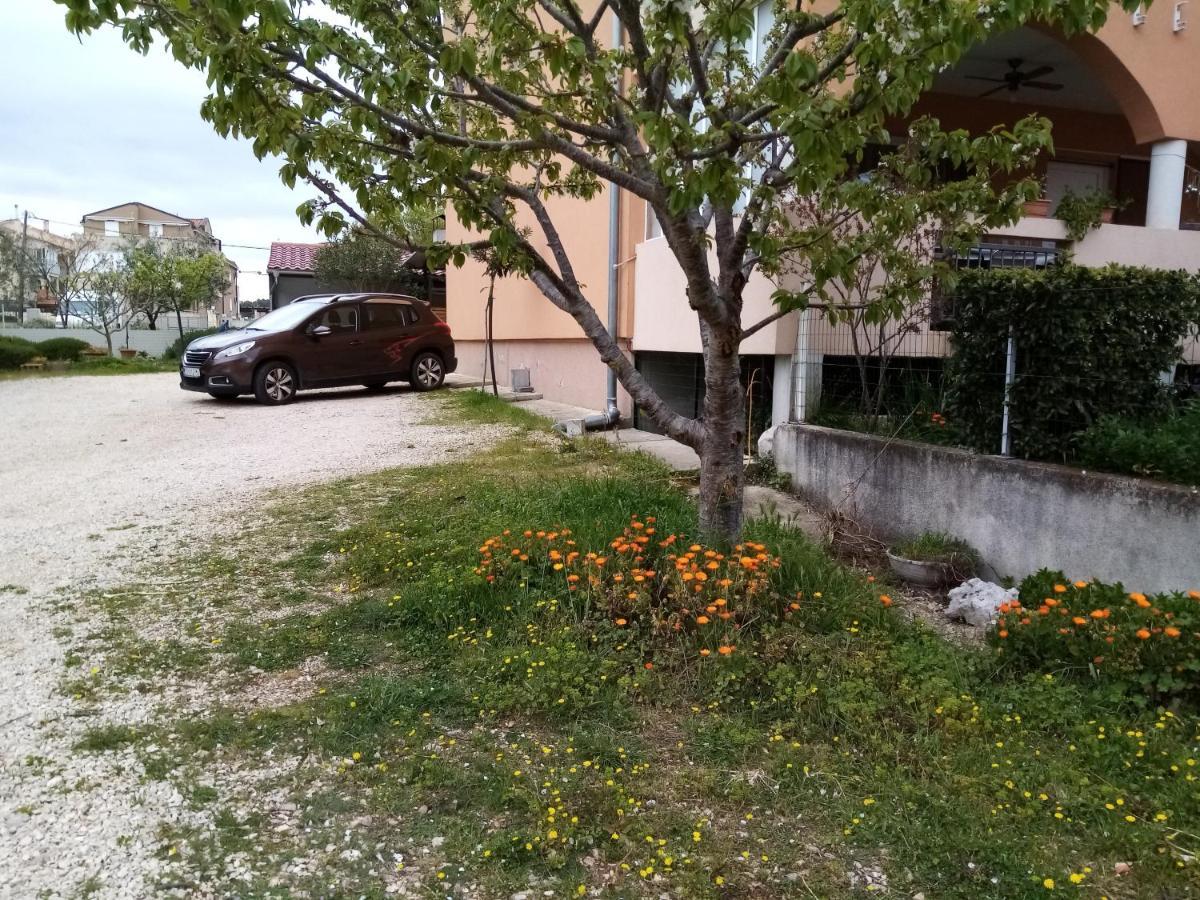 Apartments Vanja Skara Biograd Biograd Na Moru Eksteriør bilde