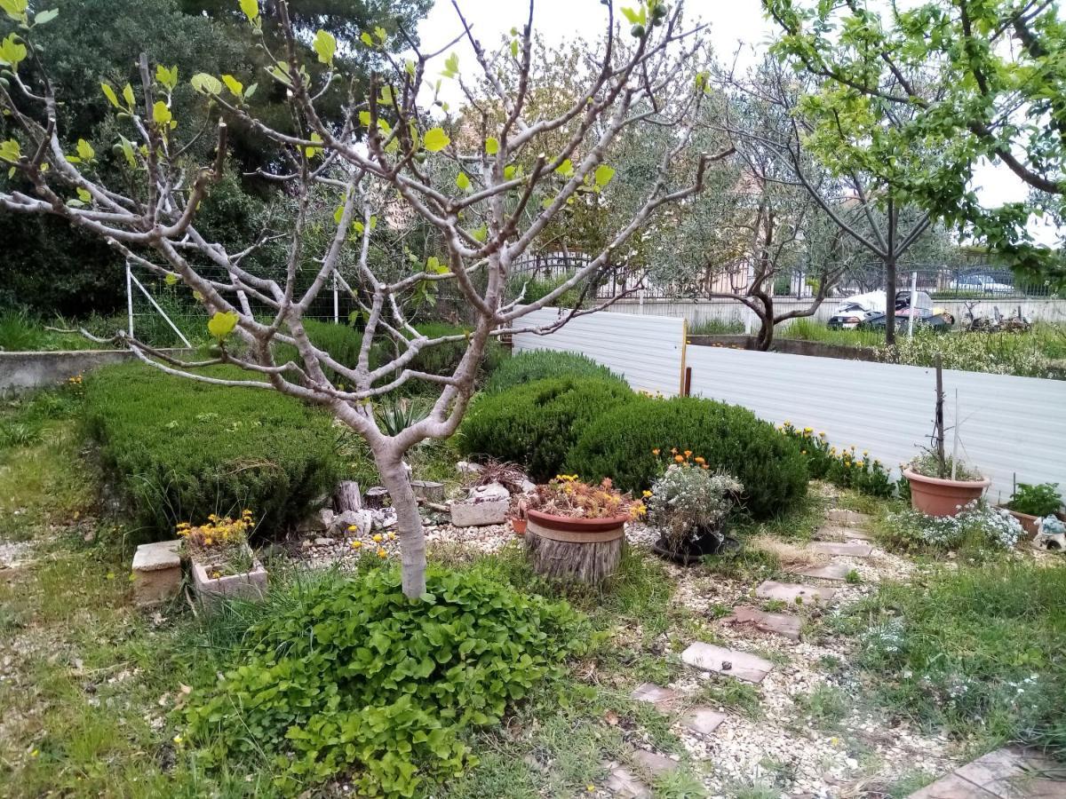 Apartments Vanja Skara Biograd Biograd Na Moru Eksteriør bilde