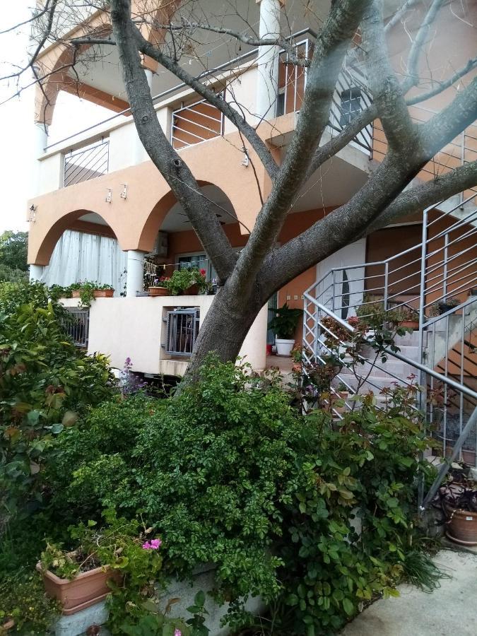 Apartments Vanja Skara Biograd Biograd Na Moru Eksteriør bilde